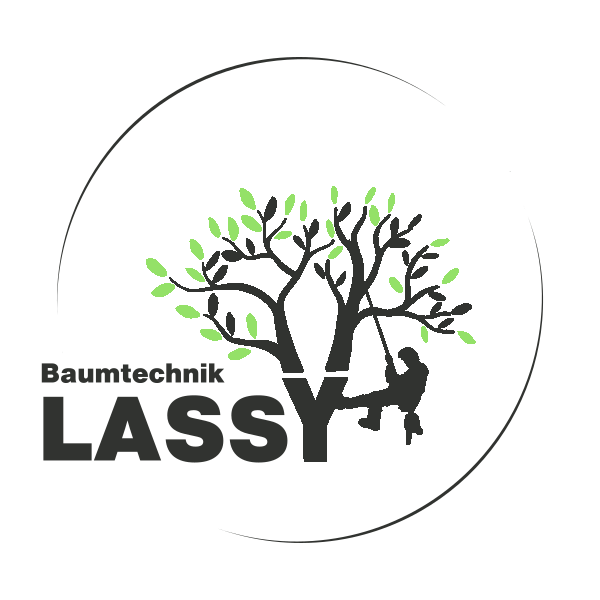 Logo von Baumtechnik Lassy